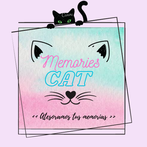 memories cat